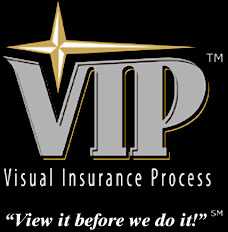 Visual Insurance Process